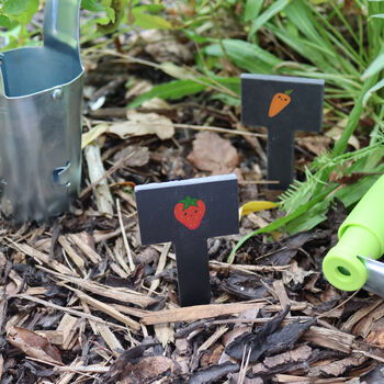 Printed Fruit And Veg Slate Plant Markers, 5 of 7