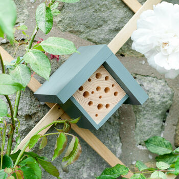 Mini Bee House Garden Gift Set, 6 of 7