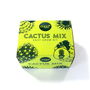 Cactus Mix Easy Grow Kit, thumbnail 1 of 1