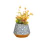 Japanese Style Blue Wave Planter With Choice Of Plant, thumbnail 2 of 4
