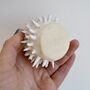Handmade Small Round White Spiky Ceramic Cactus Vase, thumbnail 5 of 6