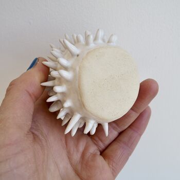 Handmade Small Round White Spiky Ceramic Cactus Vase, 5 of 6