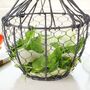 Farmhouse Kitchen Wire Salad Shaker, thumbnail 6 of 8