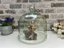 Large 24cm Recycled Glass Cloche Dome Bell Jar, thumbnail 1 of 7