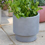 Noma Grey Footed Planter, thumbnail 1 of 10