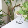 Diy Air Plant Terrarium Kit Hanging Terrarium Gift Forest Green, thumbnail 7 of 7