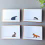 Woodland Collection Cards, Mixed Pack Of Four, thumbnail 1 of 5