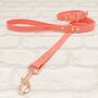 Waterproof Dog Collar And Lead Set Coral, thumbnail 1 of 3