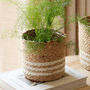 Jute Plant Pot With White Stripes, thumbnail 1 of 5