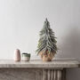 Mini Downswept Snowy Christmas Tree, thumbnail 3 of 3