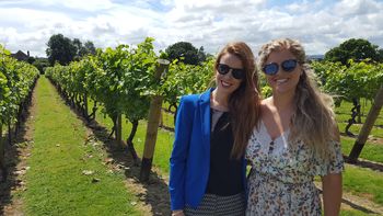 English Wine And Cheese Tour With Travel From London, 4 of 7