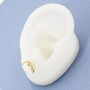 Sterling Silver Pangolin Stud Earrings, thumbnail 7 of 11