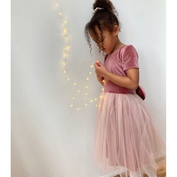 Pink Velvet Soft Tulle Dress, 9 of 10