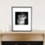 'Geoffroy's Cat' Black And White Signed Art Print, thumbnail 2 of 7