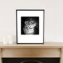 'geoffroy's cat' black and white signed art print by paul cooklin ...