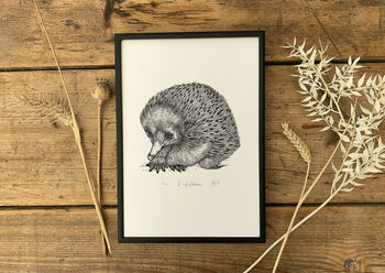 E Is For Echidna Illustration Print, 3 of 6