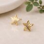 Gold Plated Sterling Silver Textured Star Stud Earrings, thumbnail 1 of 6