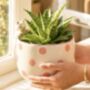 Peeking Cat Planter, thumbnail 1 of 3