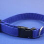 Bright Blue Dog Collar, thumbnail 9 of 12