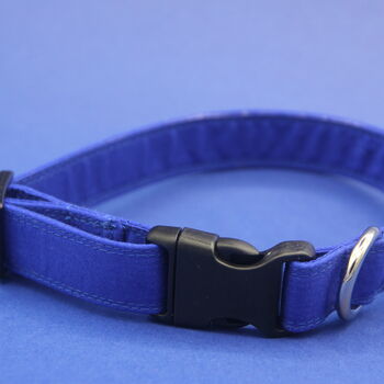 Bright Blue Dog Collar, 9 of 12