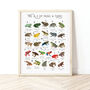 The A To Z Of Frogs And Toads Print, thumbnail 1 of 6