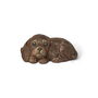 Solid Chocolate Puppy, thumbnail 4 of 5