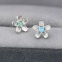 Sterling Silver Opal Forget Me Not Flower Stud Earrings, thumbnail 2 of 12