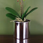 Pink Artificial Orchid Silver 46cm Harlequin Real Touch, thumbnail 2 of 3