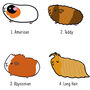 Cute Embroided Guinea Pig Beanie Hat, thumbnail 2 of 4