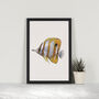 Copperband Butterflyfish Giclée Art Print, thumbnail 1 of 3