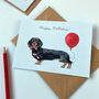 Black And Tan Sausage Dog/Dachshund Birthday Card, thumbnail 2 of 2