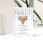 Shark Tooth Fossil Otodus, thumbnail 1 of 12