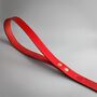 Red Leather Whippet Collar And Matching Lead Set, thumbnail 7 of 11