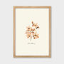 Pink Floral Dianthus Cottage Garden Botanical Print, thumbnail 3 of 4