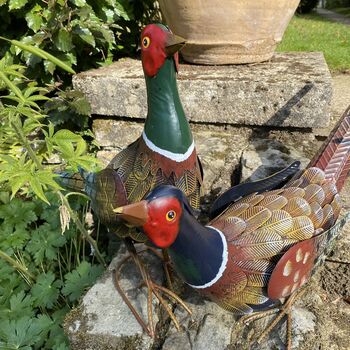 Pair Of Pheasants, 2 of 8