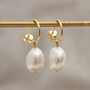 Gold Plated Large Pearl Earrings, thumbnail 1 of 6