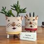 Personalised Teacher Gift Pencil Pot Planter Cat, thumbnail 1 of 6