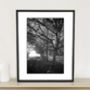 Trees, Anglesey Abbey Gardens Photographic Art Print, thumbnail 1 of 12