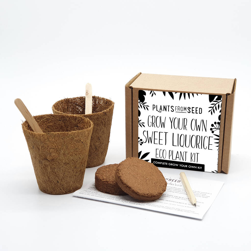 Eco Grow Your Own Sweet Liquorice Plant Kit By Plants From Seed
