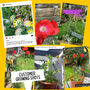 Blooming Splendid Plantable Birthday Card, thumbnail 9 of 10