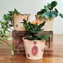 Birth Flower Pottery Plant Pot Gift Handmade Planter, thumbnail 3 of 10