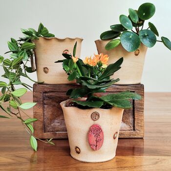 Birth Flower Pottery Plant Pot Gift Handmade Planter, 3 of 10