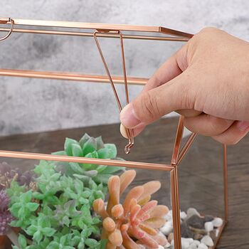 Rose Gold Glass Geometric Plant Terrarium With Lid, 5 of 7