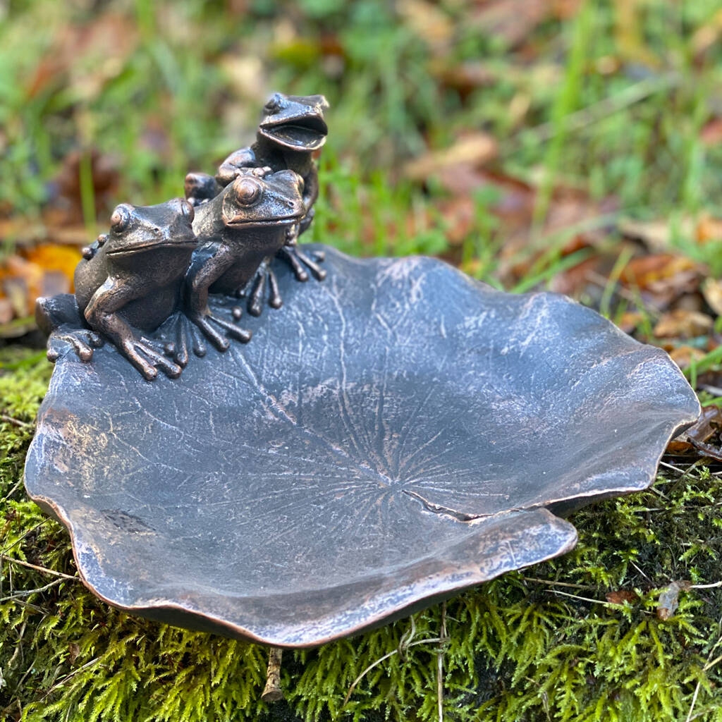 Frogs Bird Bath By Blackdown Lifestyle
