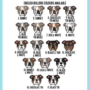 English Bulldog T Shirt, 4 of 6