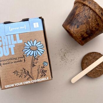 Grow Me Chill Out Chamomile Gift Box, 2 of 2