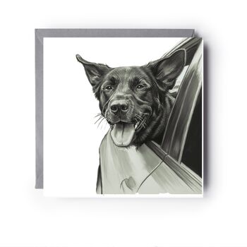 Driving Dog – Hand Drawn Fun Greeting Card Illustration, 2 of 6