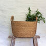 Seagrass Plant Or Storage Baskets With Handles Oval, thumbnail 3 of 6