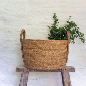 Seagrass Plant Or Storage Baskets With Handles Oval, 3 of 6