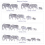 Personalised Elephant Family Letterbox Print, thumbnail 2 of 2